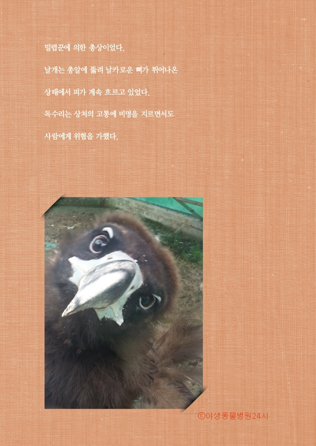 1_야생동물병원10쇄13.jpg