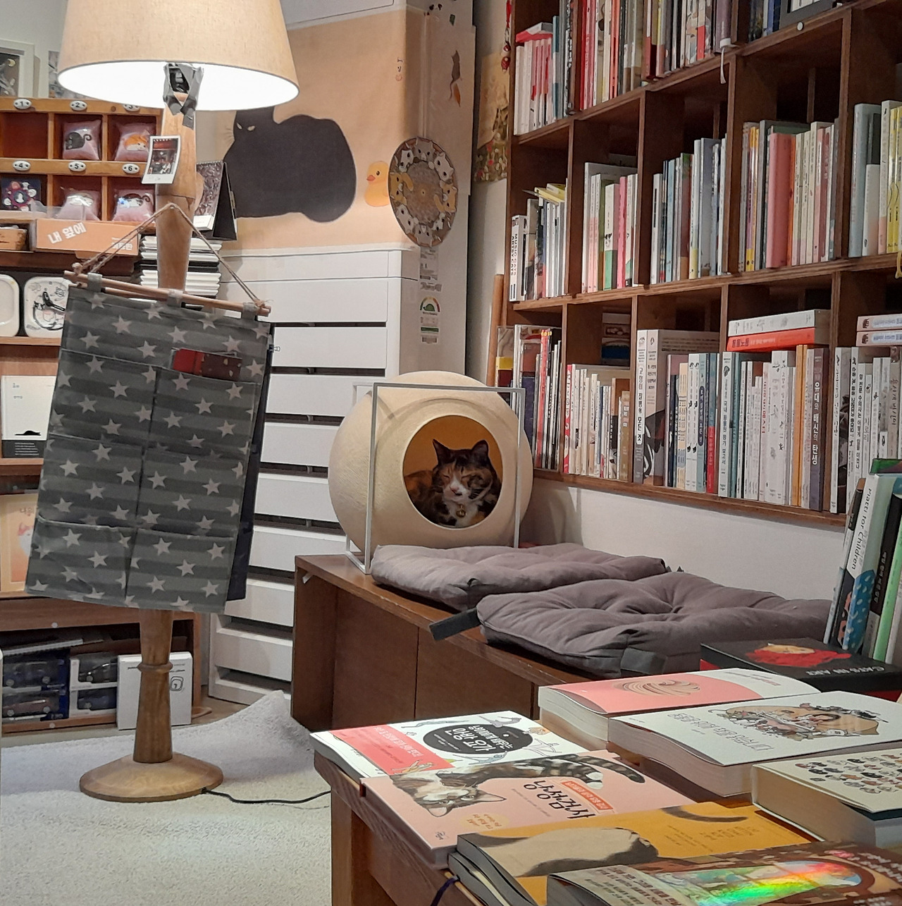 책보냥_고양이한옥책방1.jpg