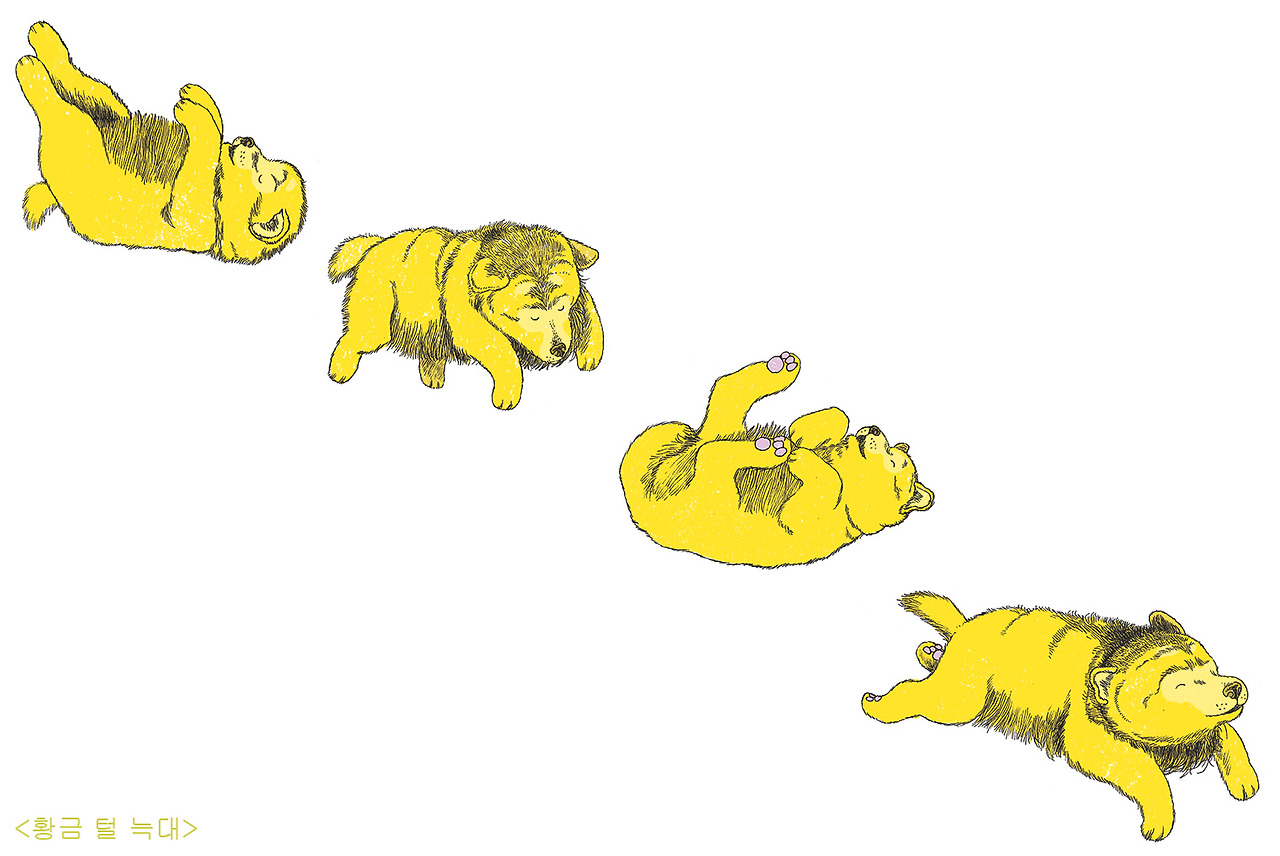 2_황금털늑대_저해상2.jpg