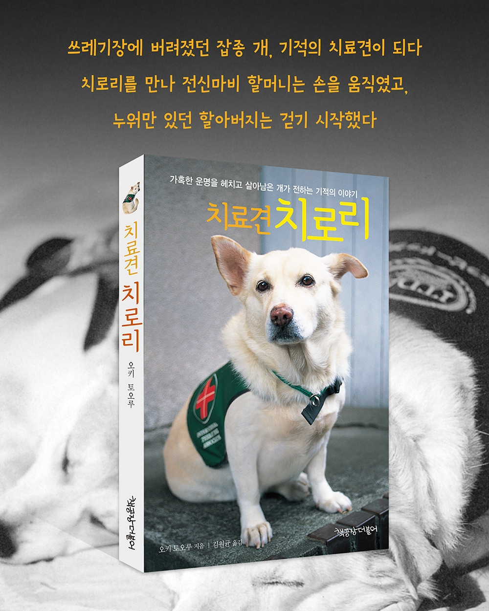 0_책공장 인스타 구간 광고6.jpg