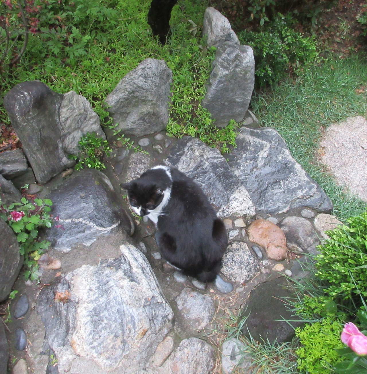 1_은애_비오는날_마당4_240506 (135).jpg