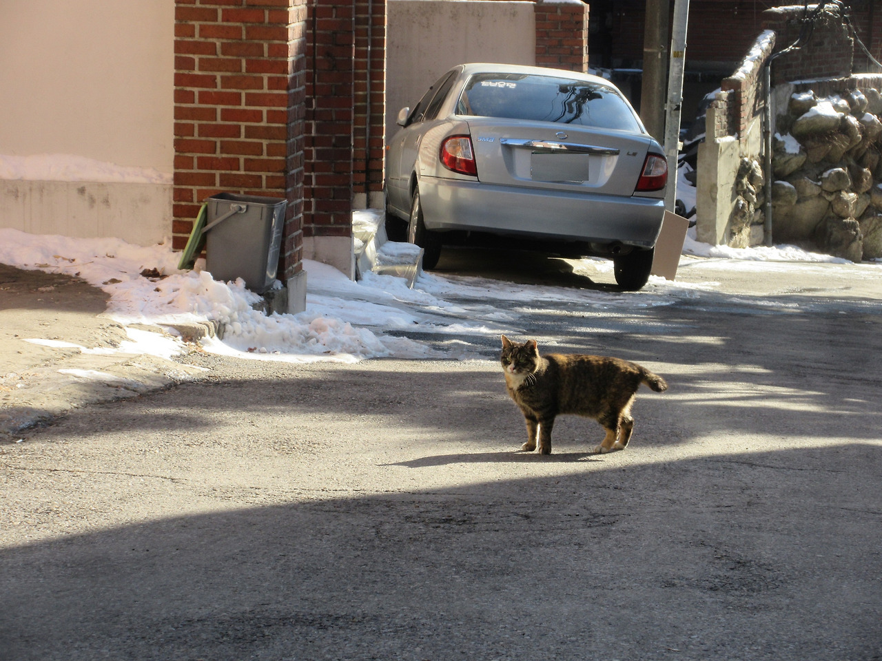 1작은귀_목걸이1_1팽팽하기는_221228 (56).jpg