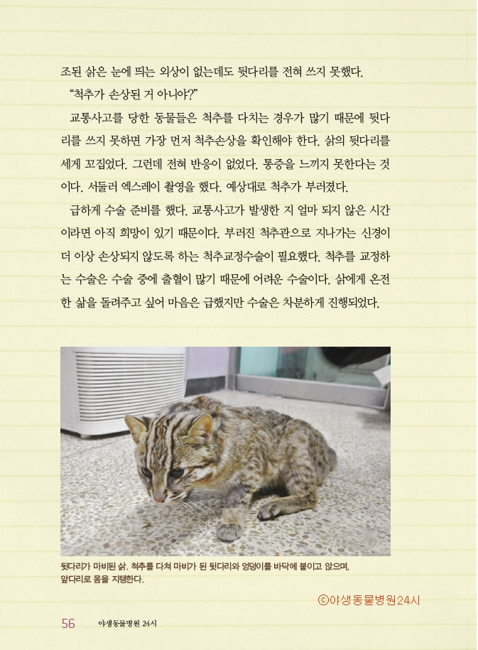 1_야생동물병원10쇄11.jpg