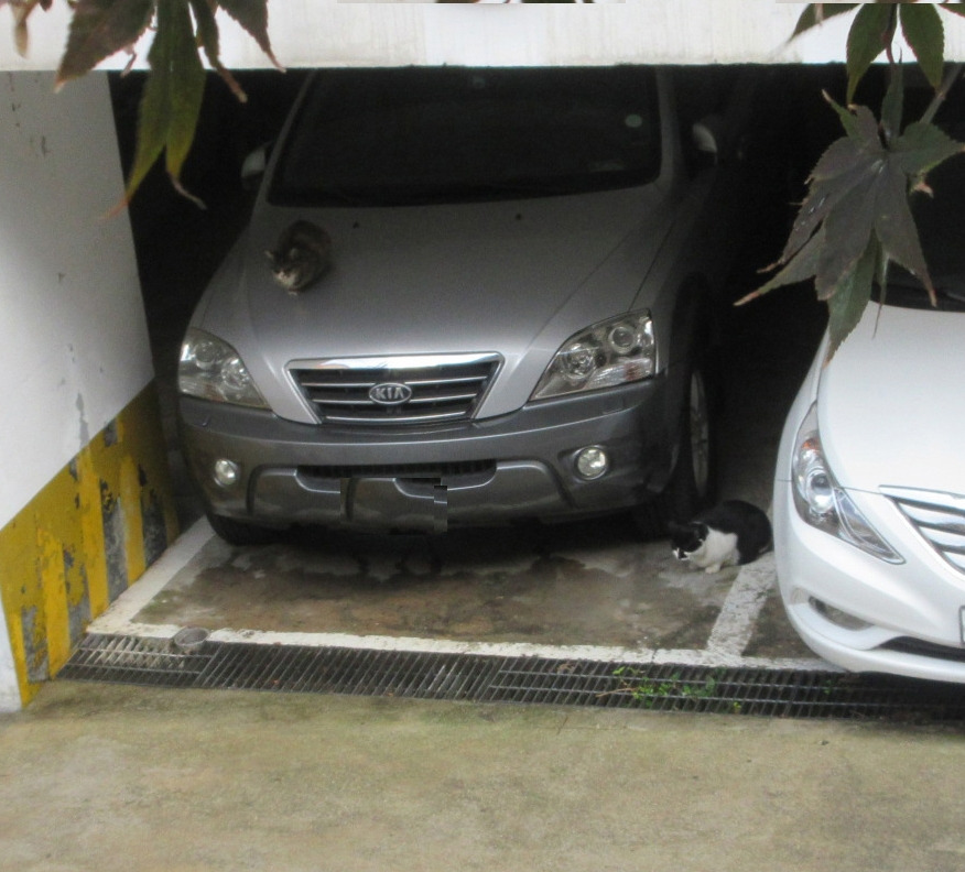 은애_작은귀_비오는날4_231105 (129).jpg