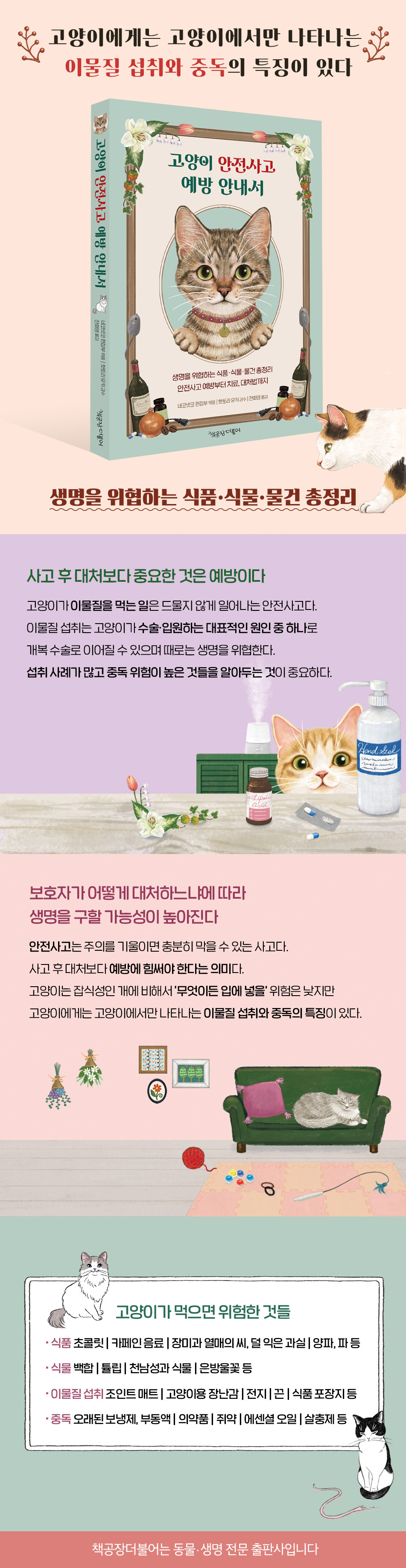 1고양이 안전사고 웹이미지_수정.jpg