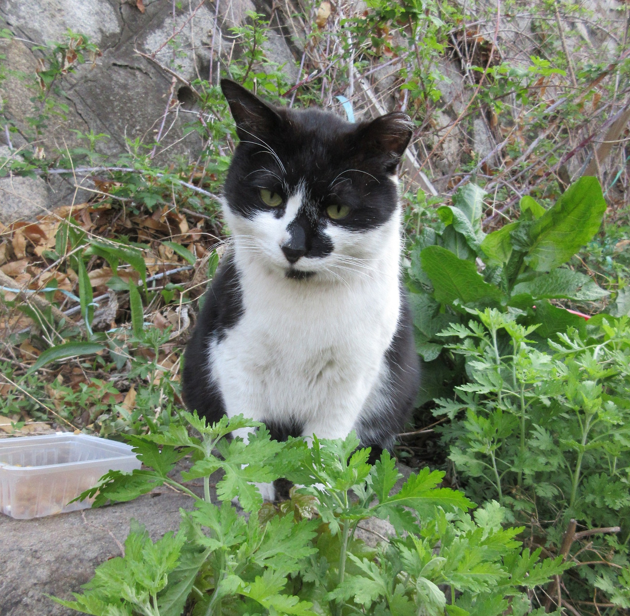 1부챼2_혜진작가님_230721 (156).jpg