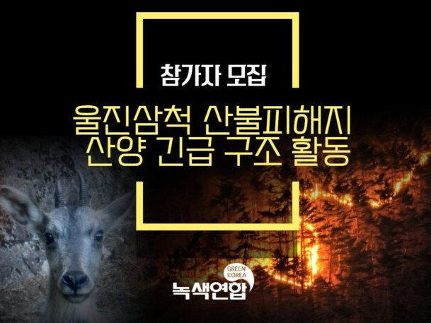 1산양먹이주기.jpg