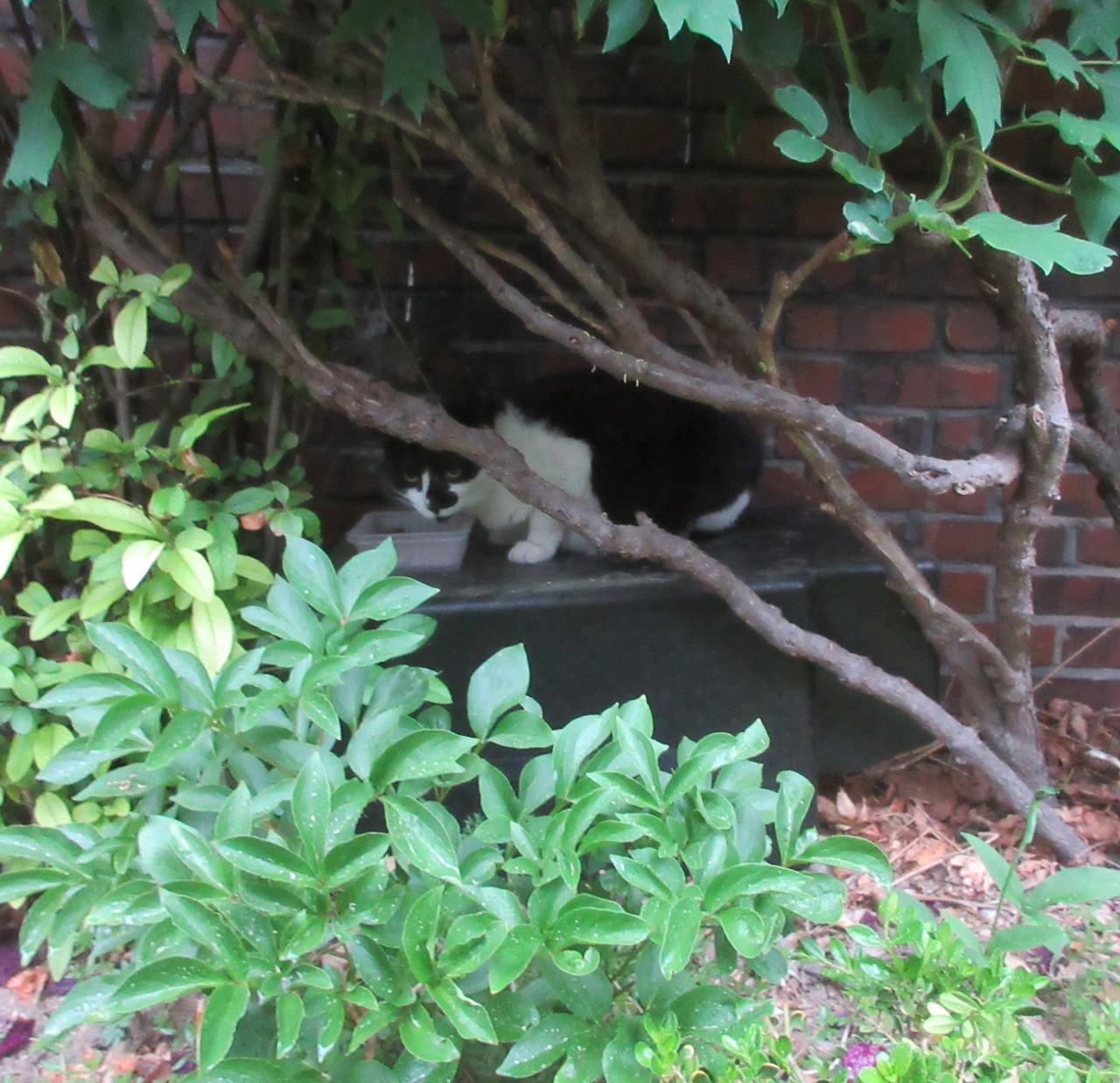 1_은애_비오는날_마당1_240506 (135).jpg