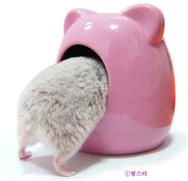 1_햄스터_214페이지_3_1.jpg