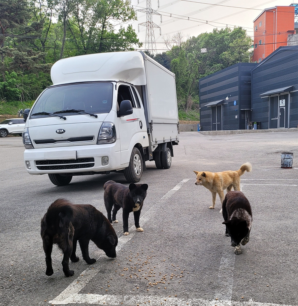1_공장_멍멍이들4.jpg