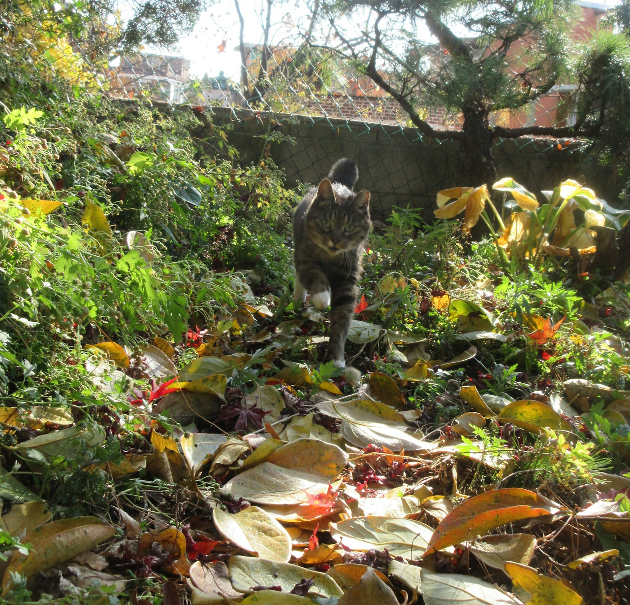 목걸이_가을이네_221123 (27)2.jpg