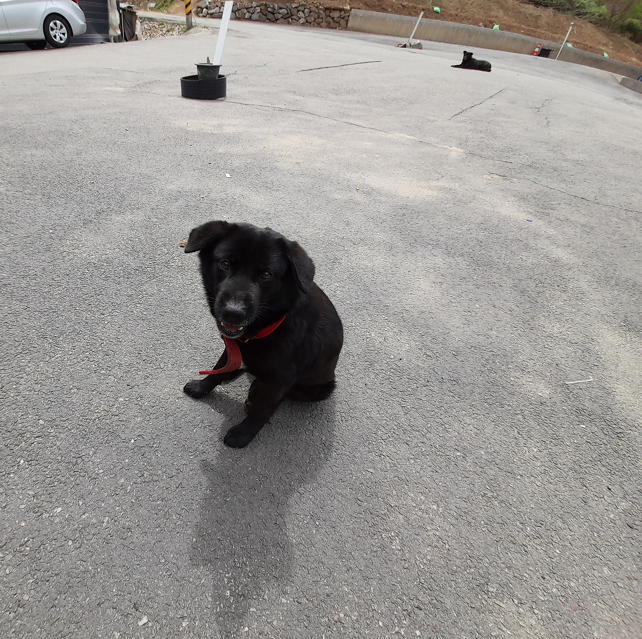 인쇄소검둥이5_230413 (16).jpg