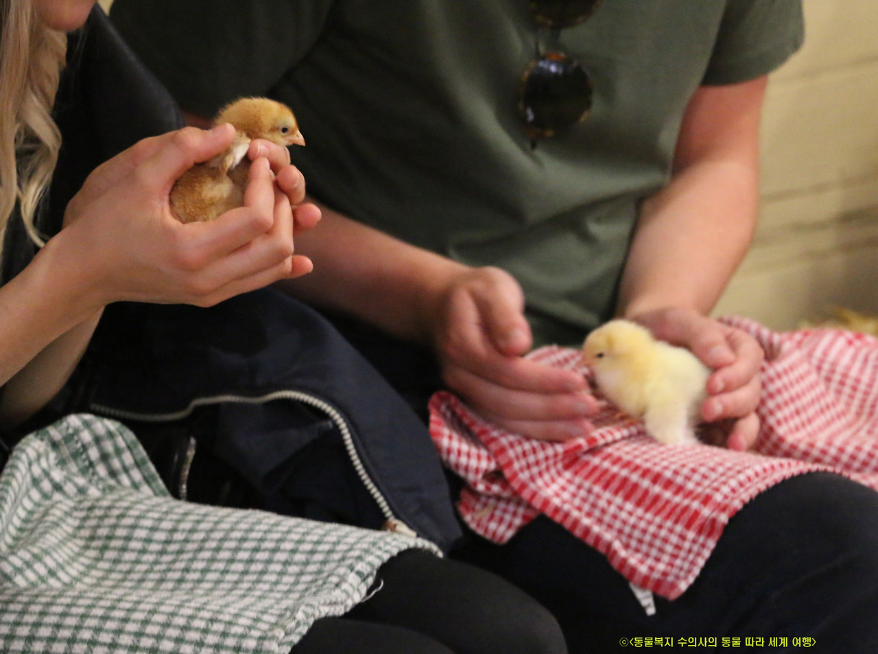 1체험동물원.jpg