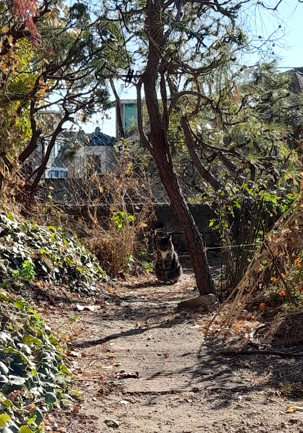 01_등짝 은애 목걸이4_20241122_135110.jpg