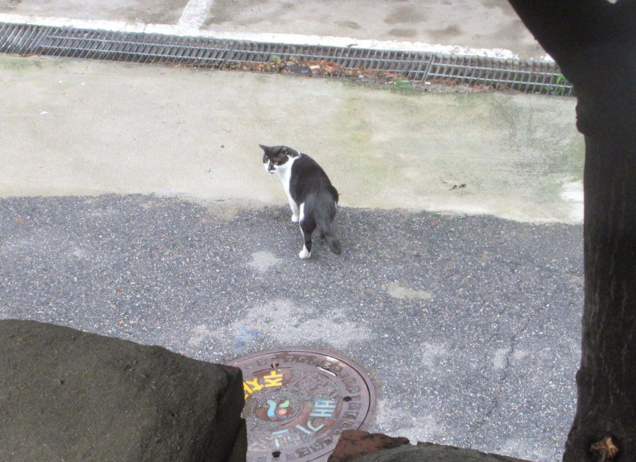 1은애_집_문열어4_220917 (42).jpg