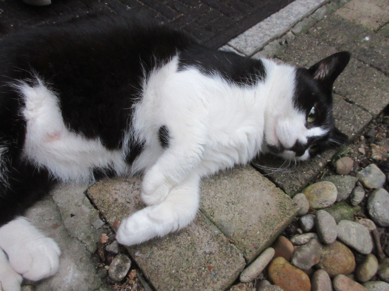 1_목걸이_은애_장마_240706 (13).jpg