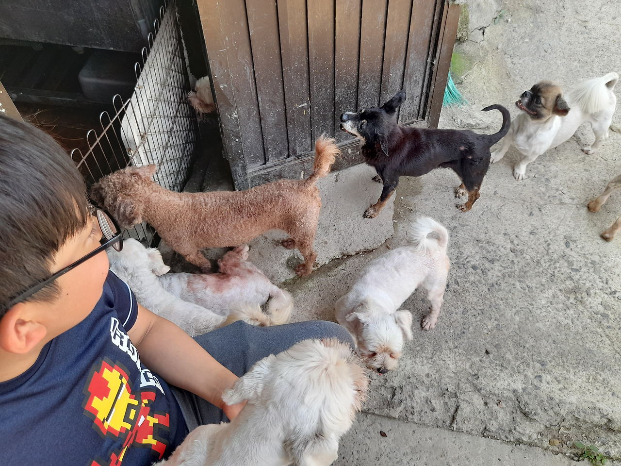 보호소봉사2_1_20230818_131244.jpg