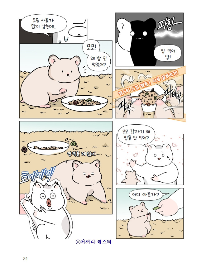 1_햄스터_편식_3.jpg