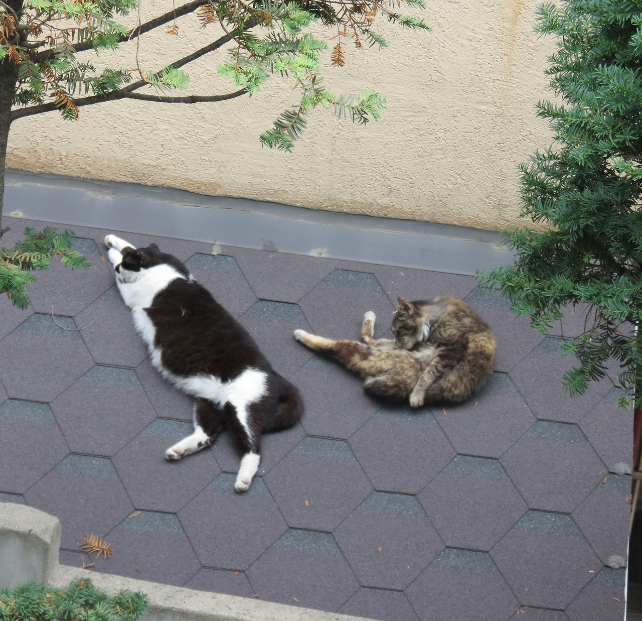 1_은애_요엄하다_작은귀2_220620 (39).jpg