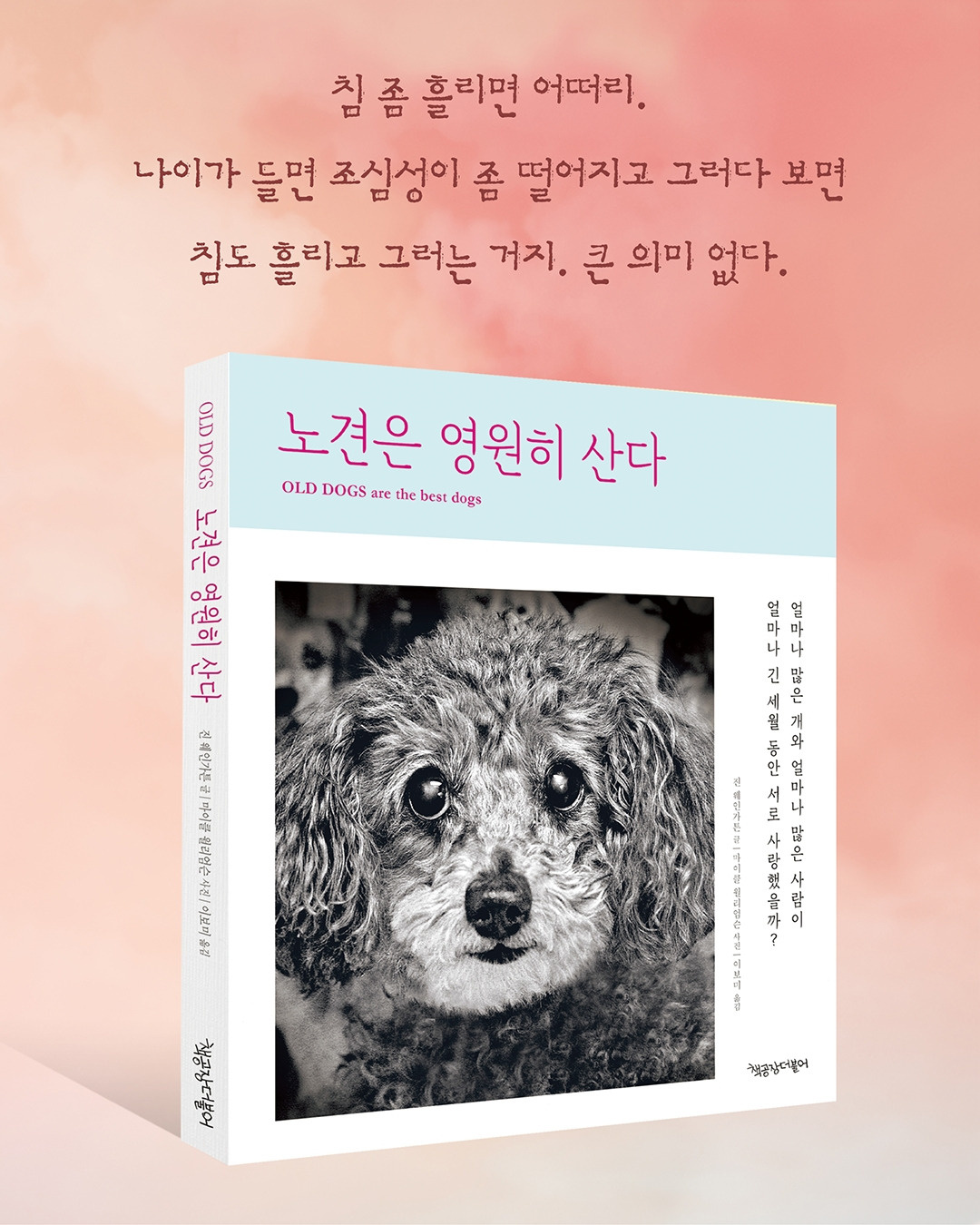 책공장 인스타 구간8 광고8.jpg