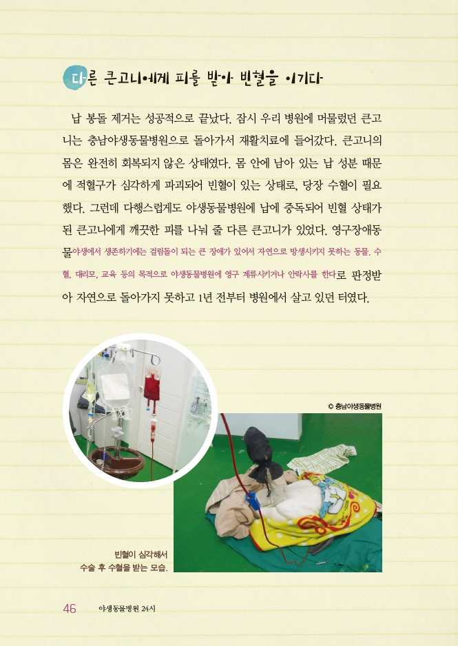 1_야생동물병원10쇄10-1.jpg