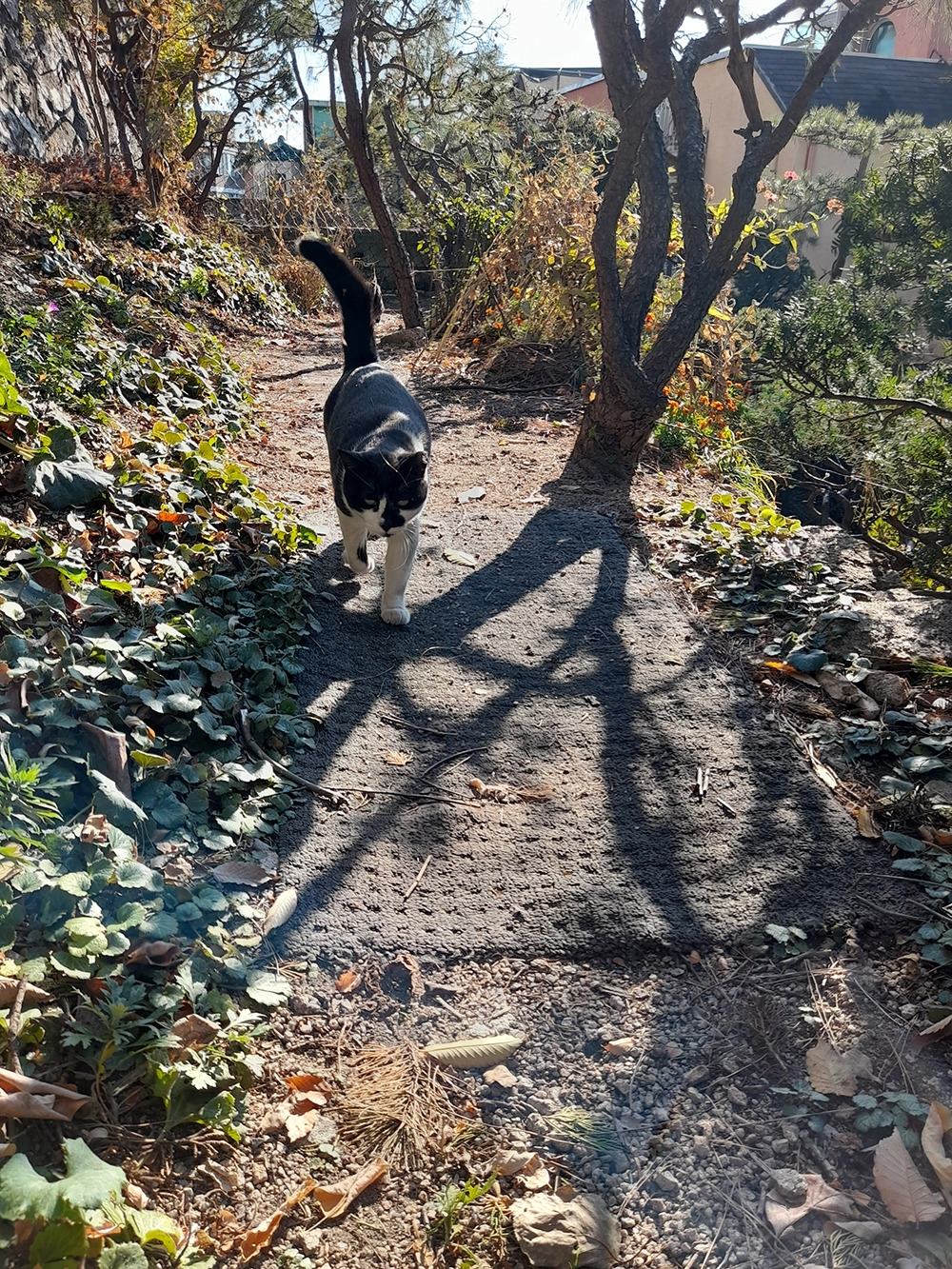 01_등짝 은애 목걸2_20241122_135110.jpg