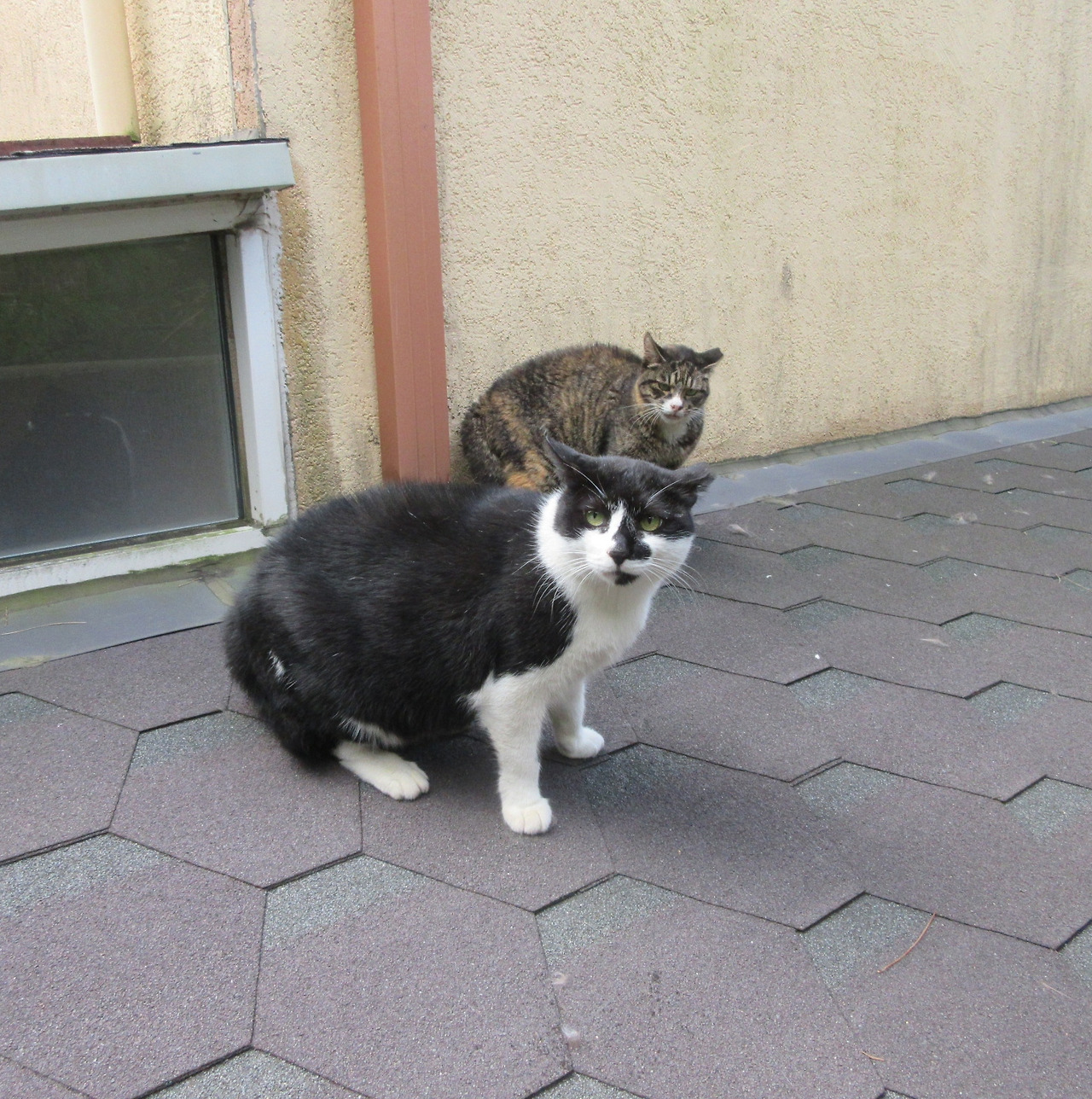 1은애_작은귀_겨울살2_231105 (88).jpg