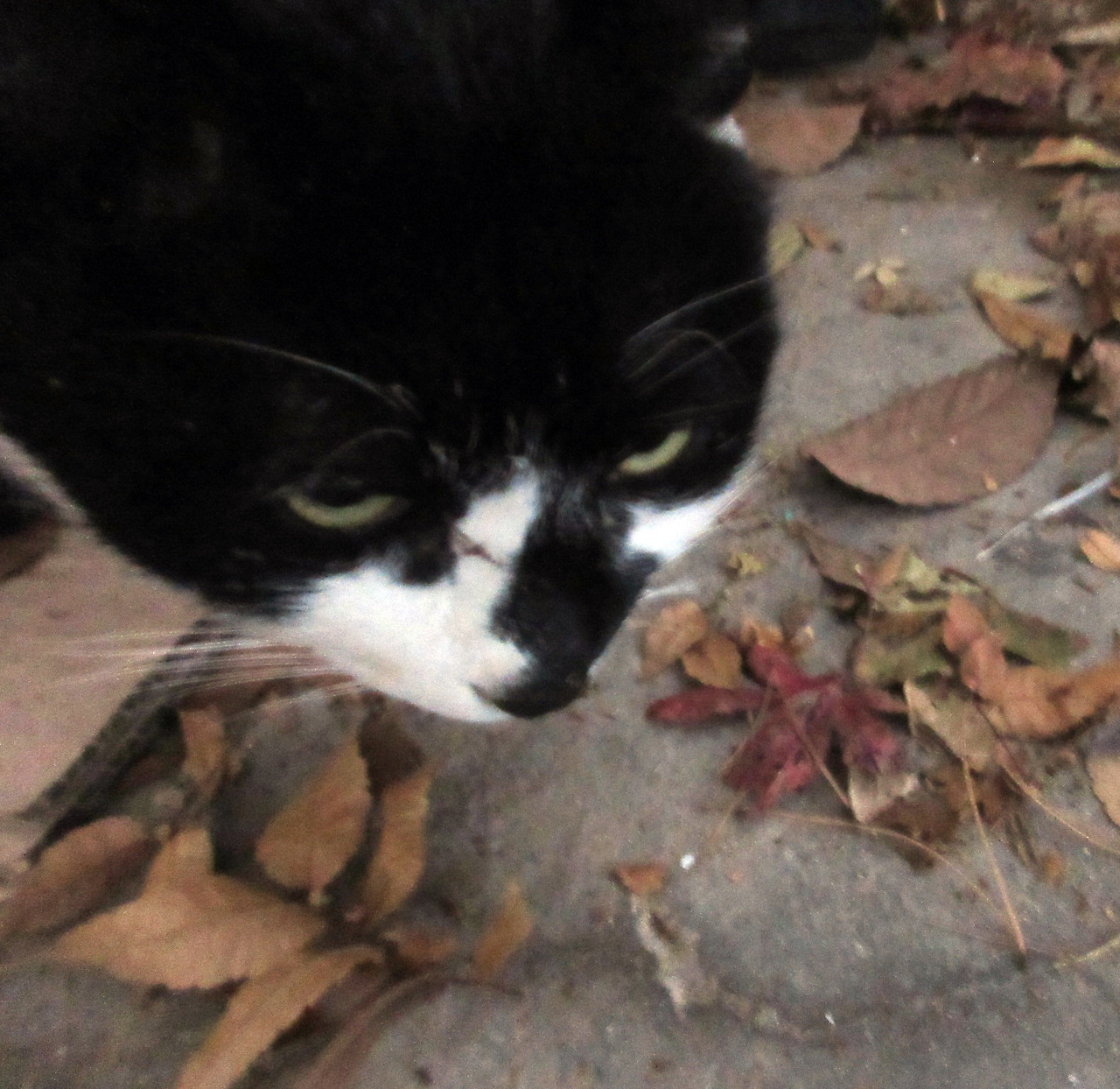 1은애_상처1_221228 (139).jpg