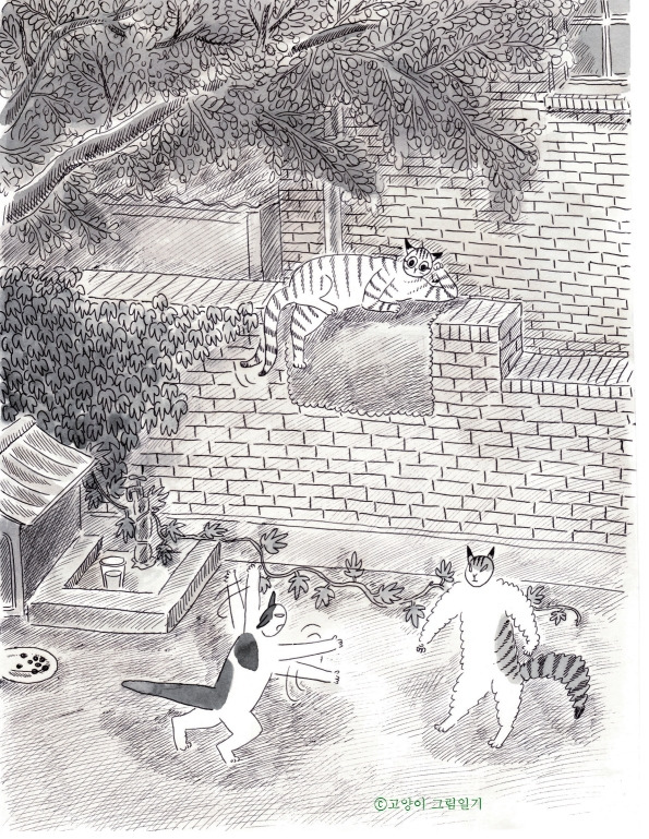흰둥이노랑이고양이싸움.jpg