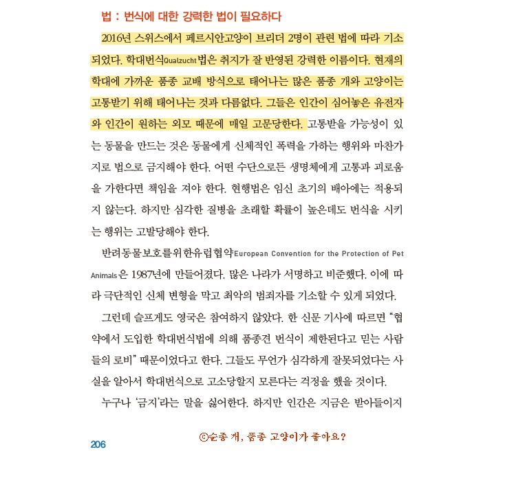 1_순종개품종고양이가좋아요5_2024.jpg