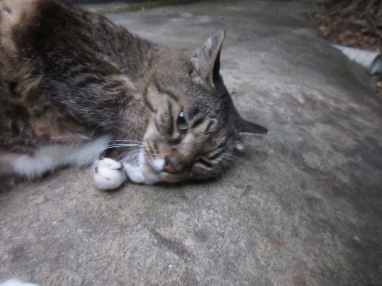 1_목걸이_은애_장마2_240706 (1).jpg