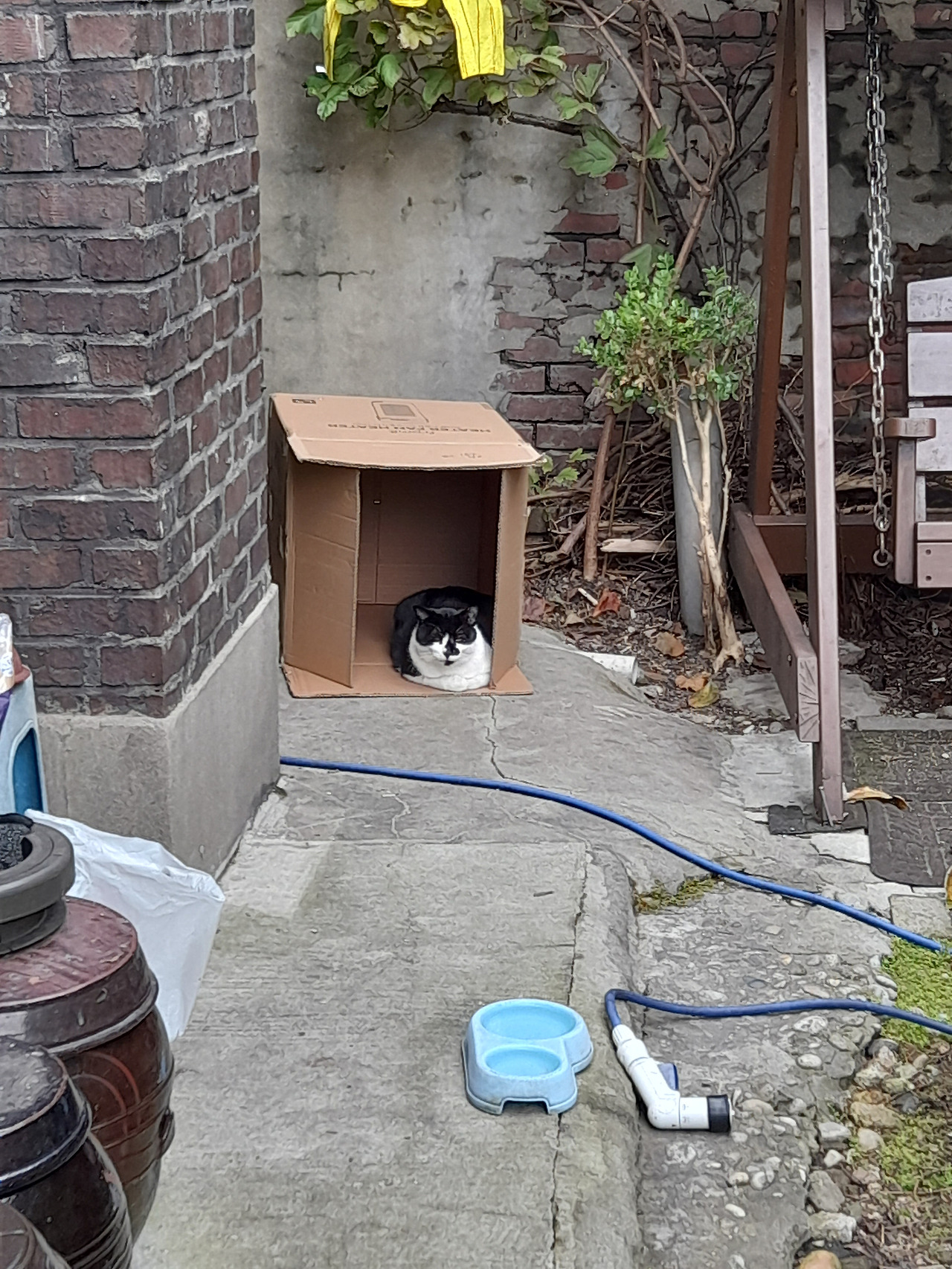 1_251027_은액목걸이박스6 (4).jpg