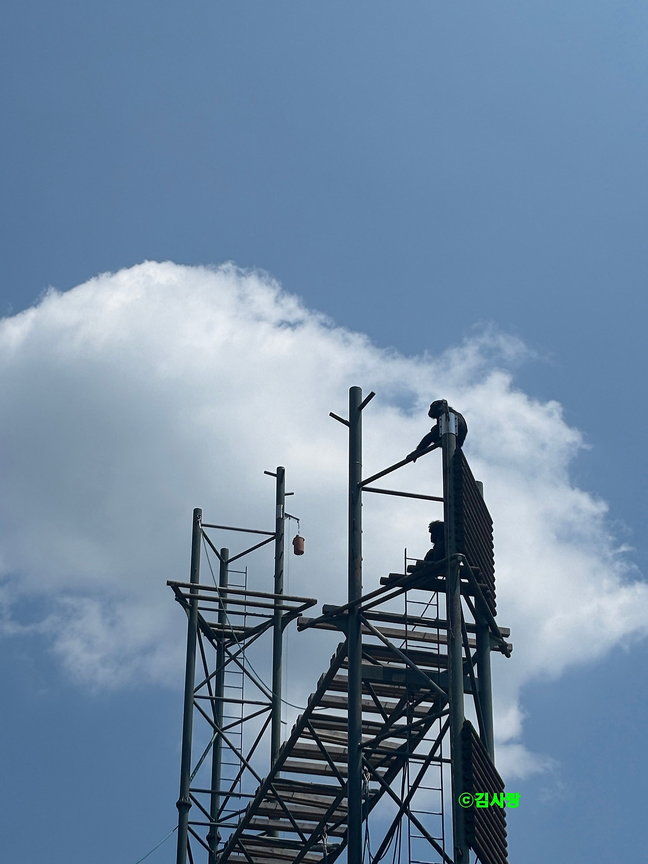 1_광복이5_침팬지타워_1748178073523 (1)_김사랑.jpg