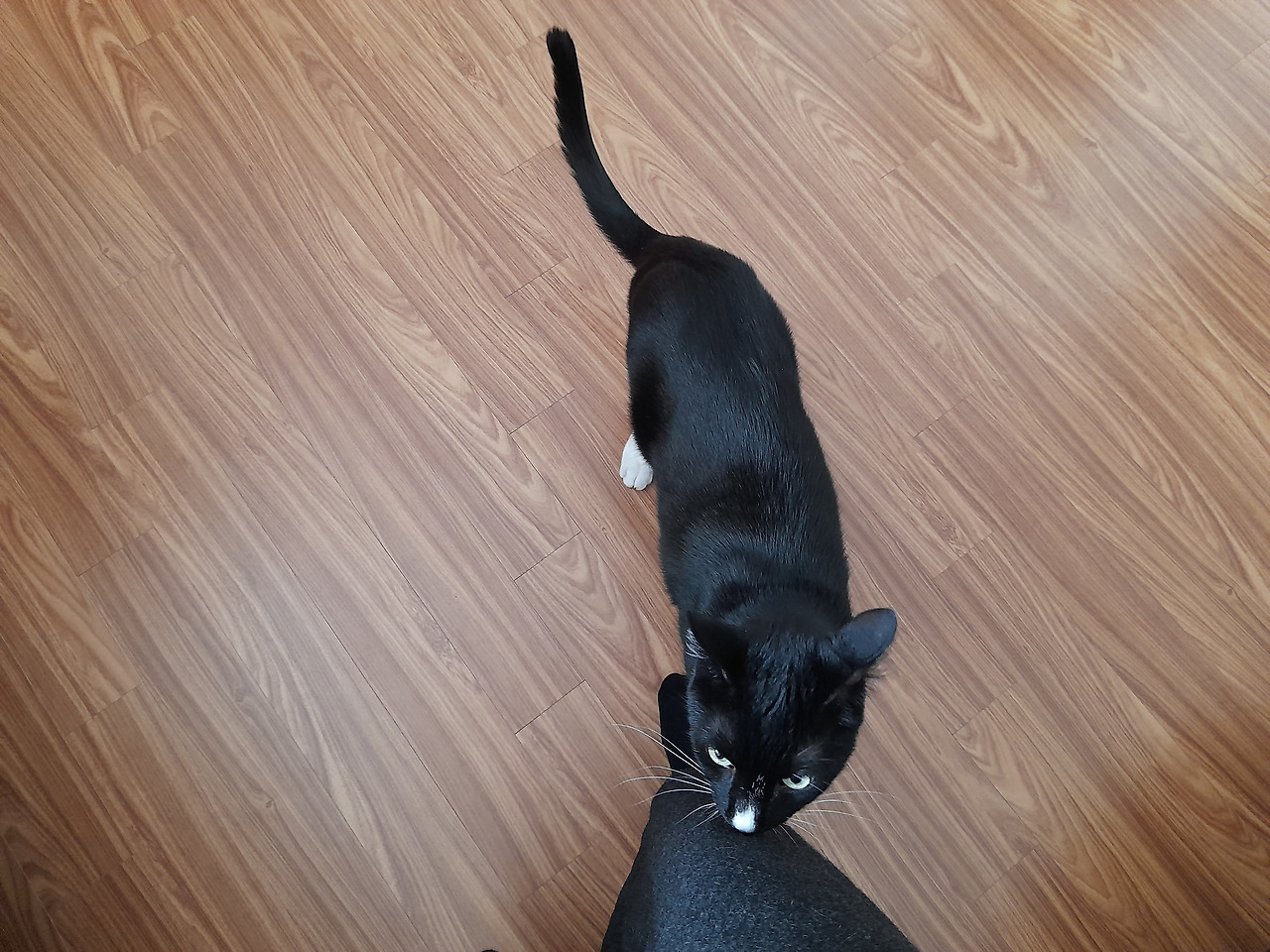 1_230501_오래오3 (10).jpg