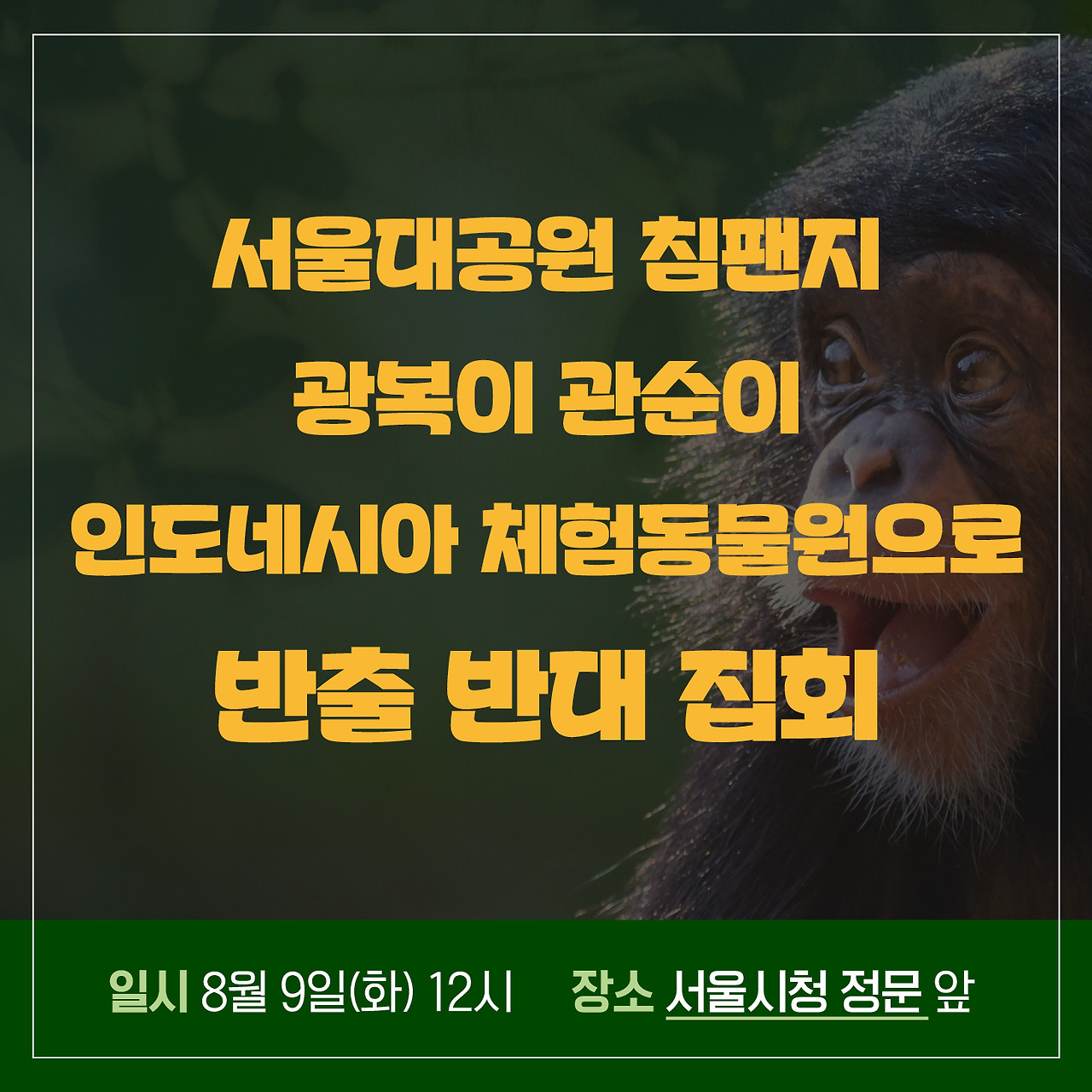 웹자보_13차집회_220809.jpg