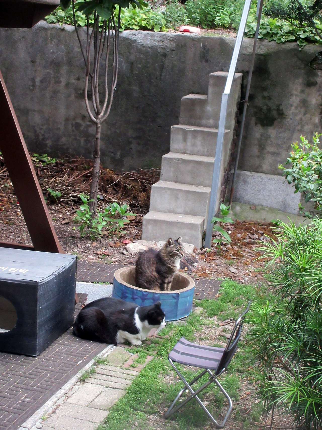 1_은애_목걸이_사냥을3_)250626 (19).jpg