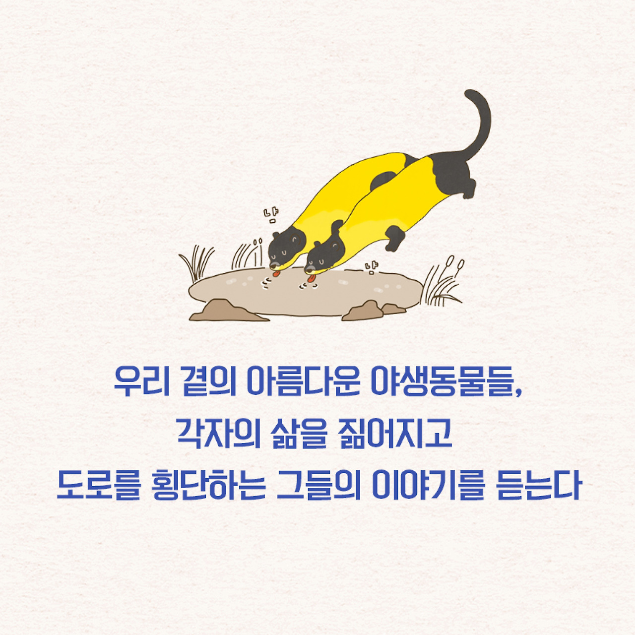 로드킬_sns용2.jpg