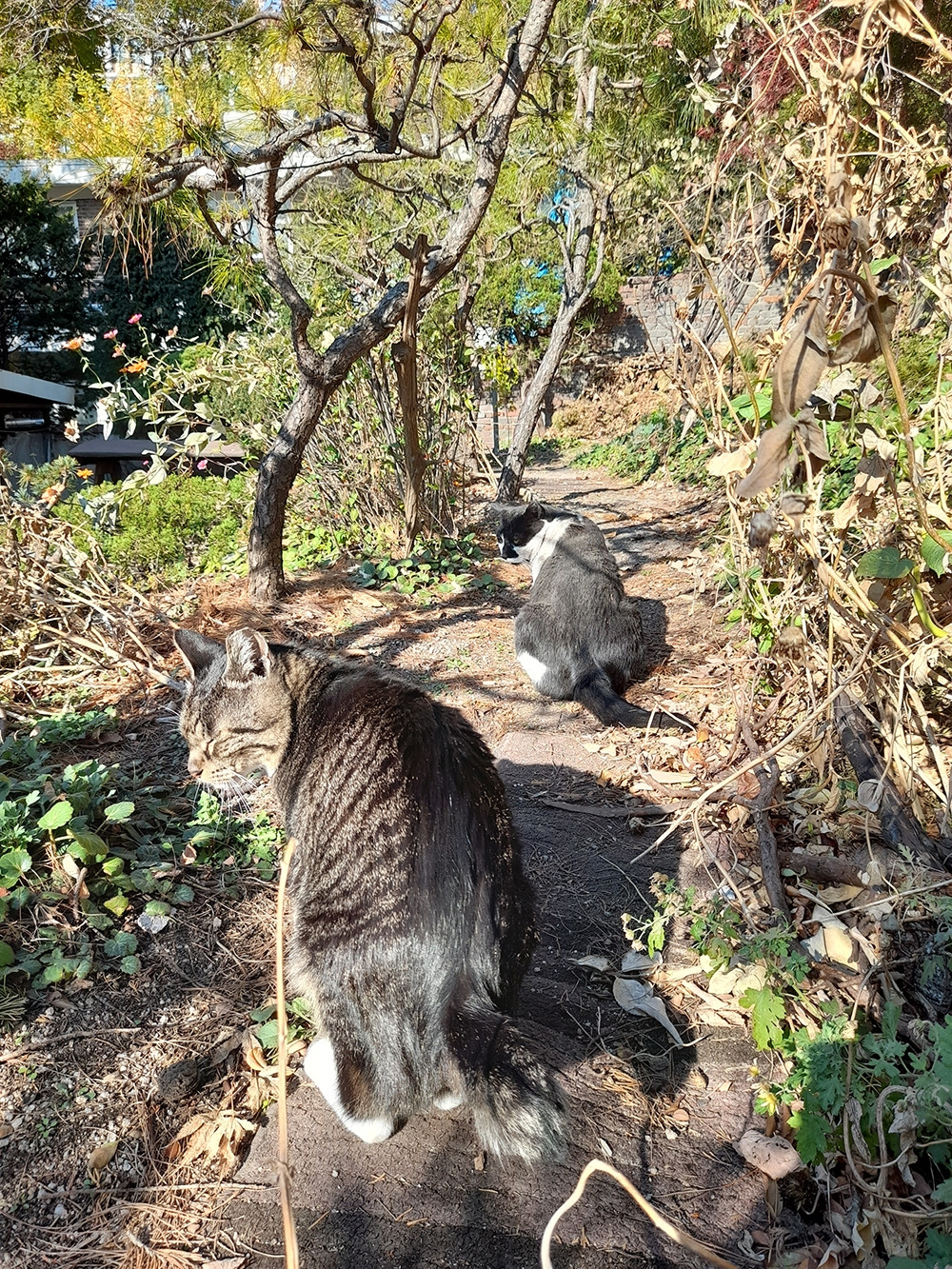 01_등짝 은애 목걸3_20241122_135110.jpg