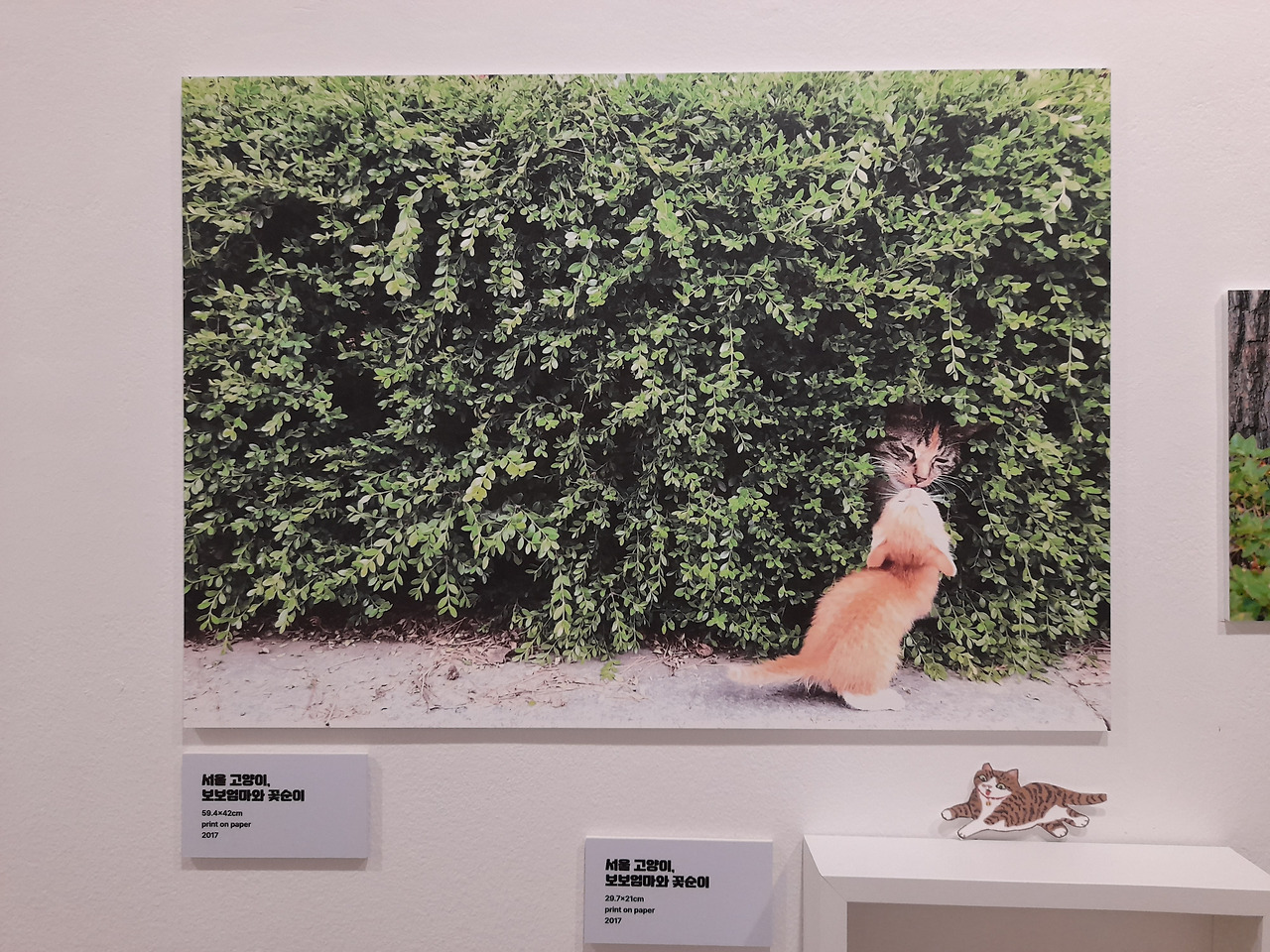 갤러리구루지4_봄은고양이로다_20220505_152704.jpg