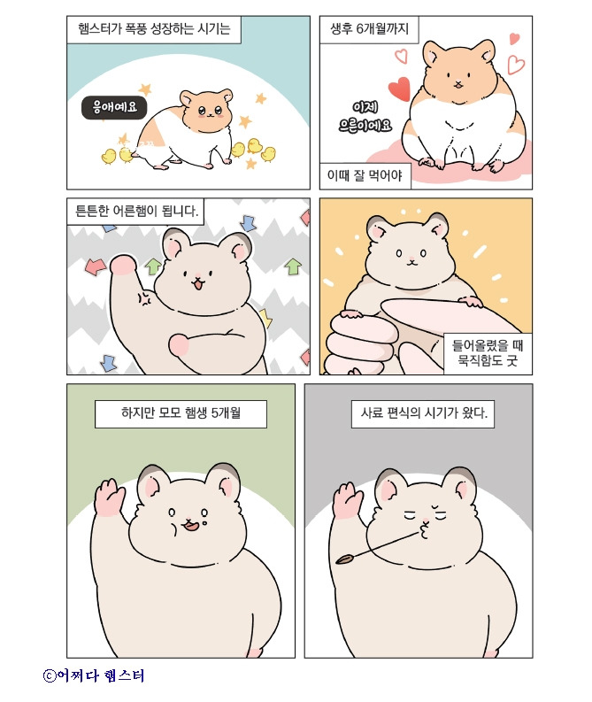 1_햄스터_편식_2.jpg