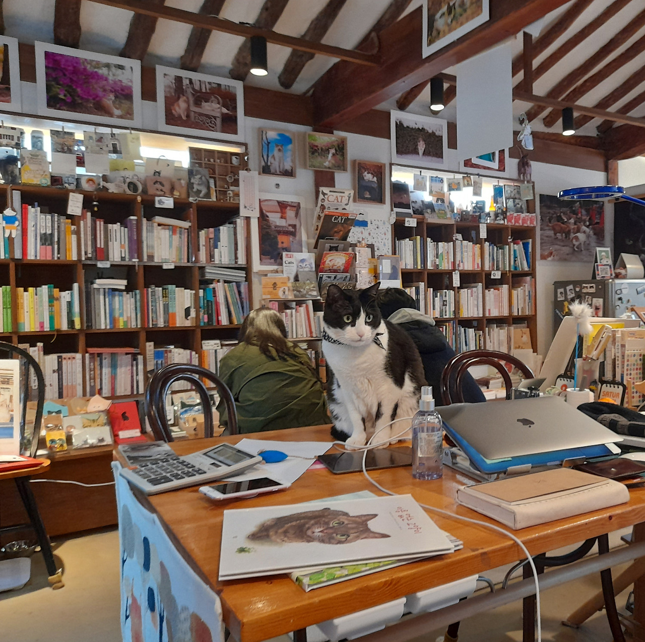 1책보냥_고양이서점_한옥서점2.jpg
