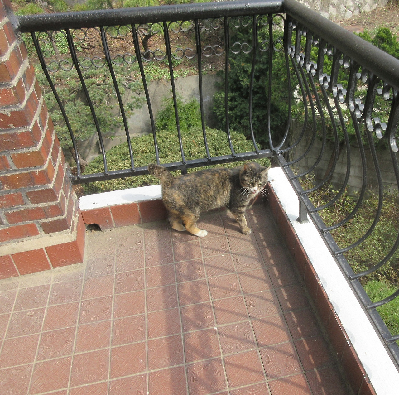 1_작은귀_베란다_은애5_240327 (45).jpg