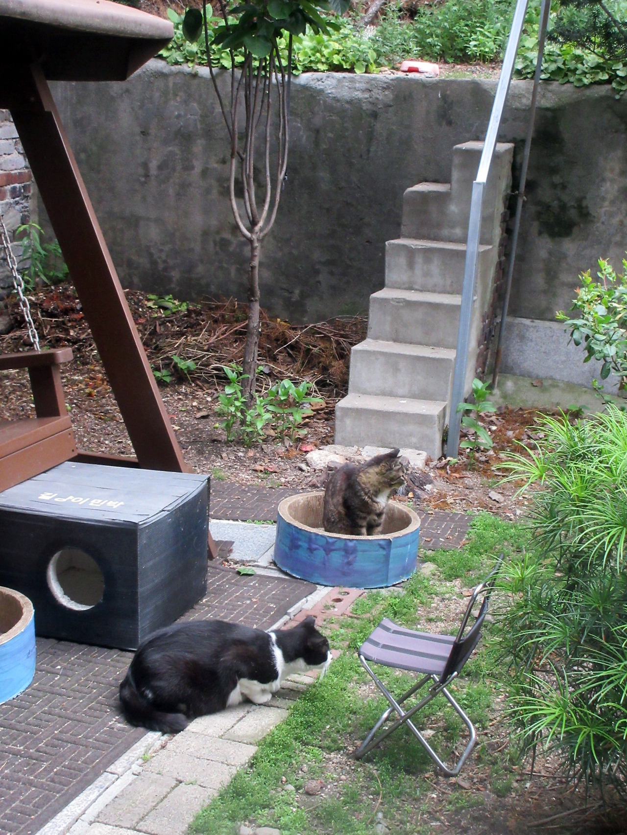 1_은애_목걸이_사냥을2_)250626 (19).jpg