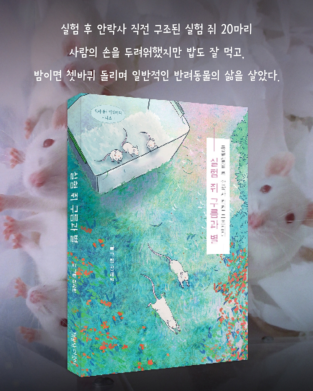 0_책공장 인스타 구간 광고7.jpg