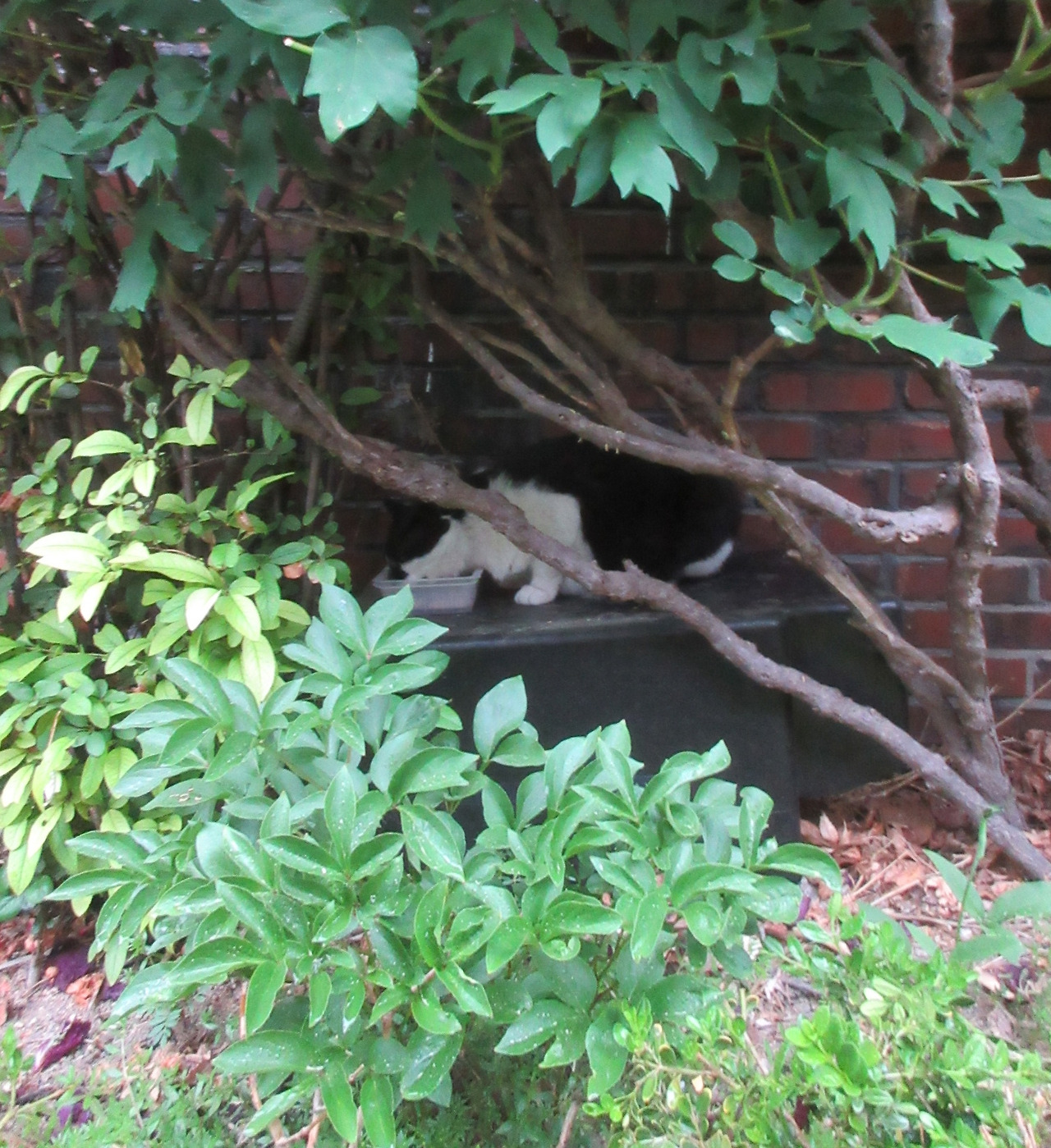 1_은애_비오는날_마당2_240506 (135).jpg