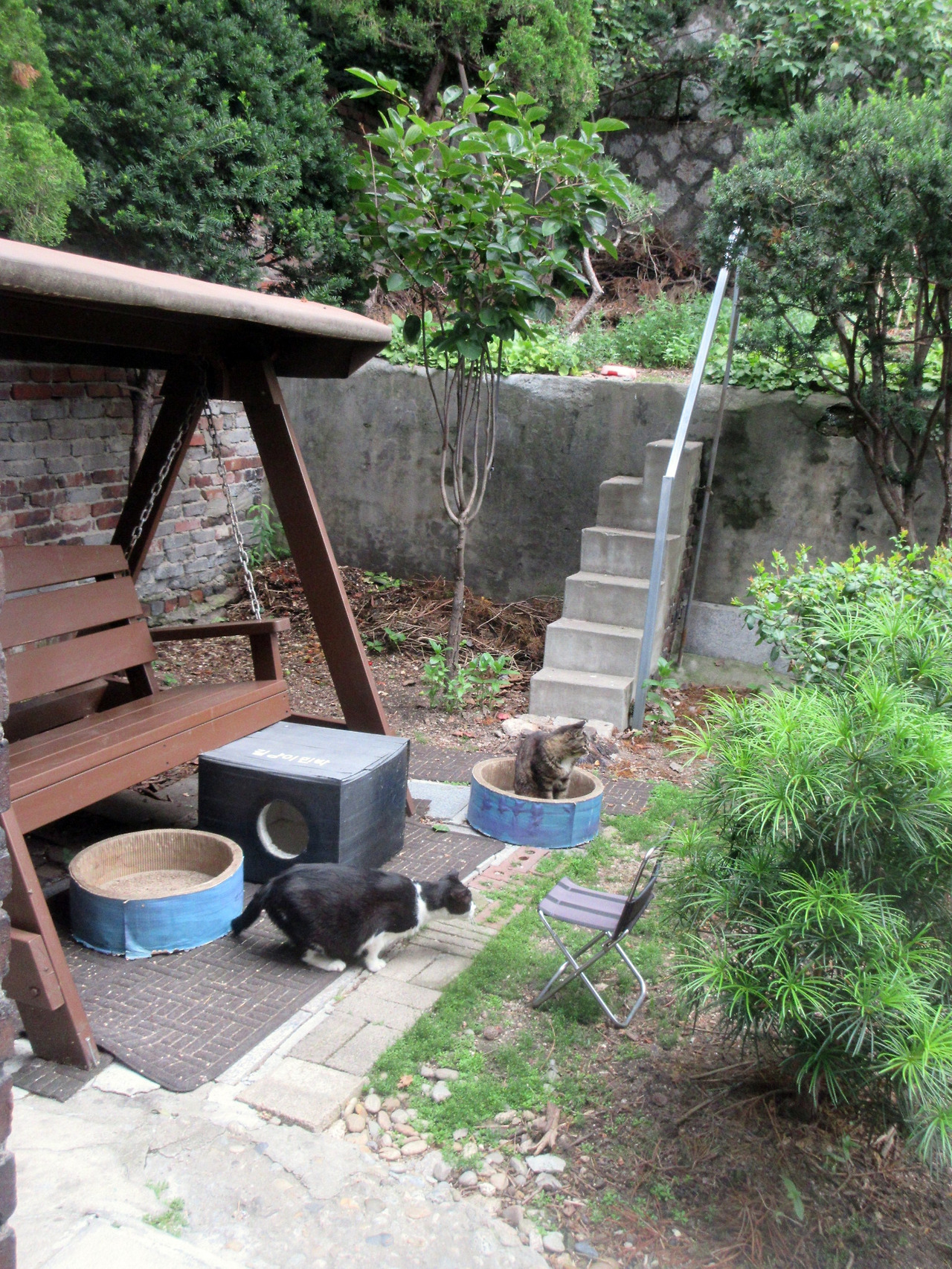 1_은애_목걸이_사냥을_)250626 (19).jpg