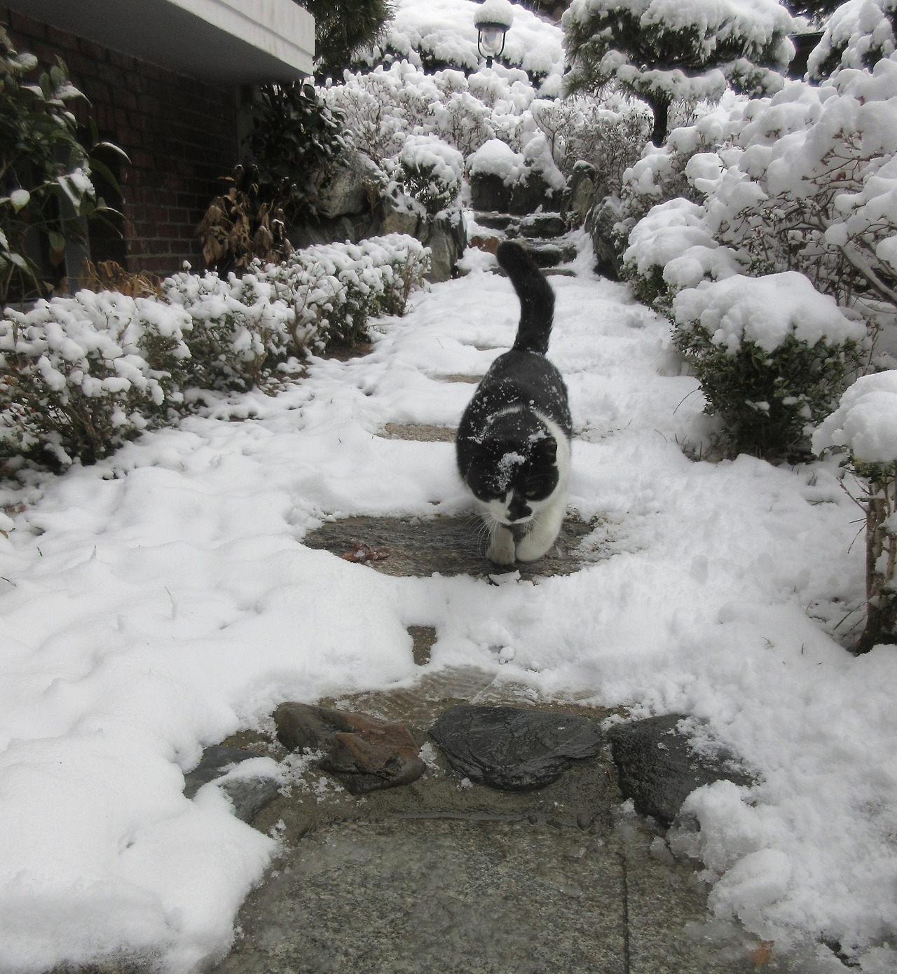 1_폭설_은애찾기6_240222 (154).jpg