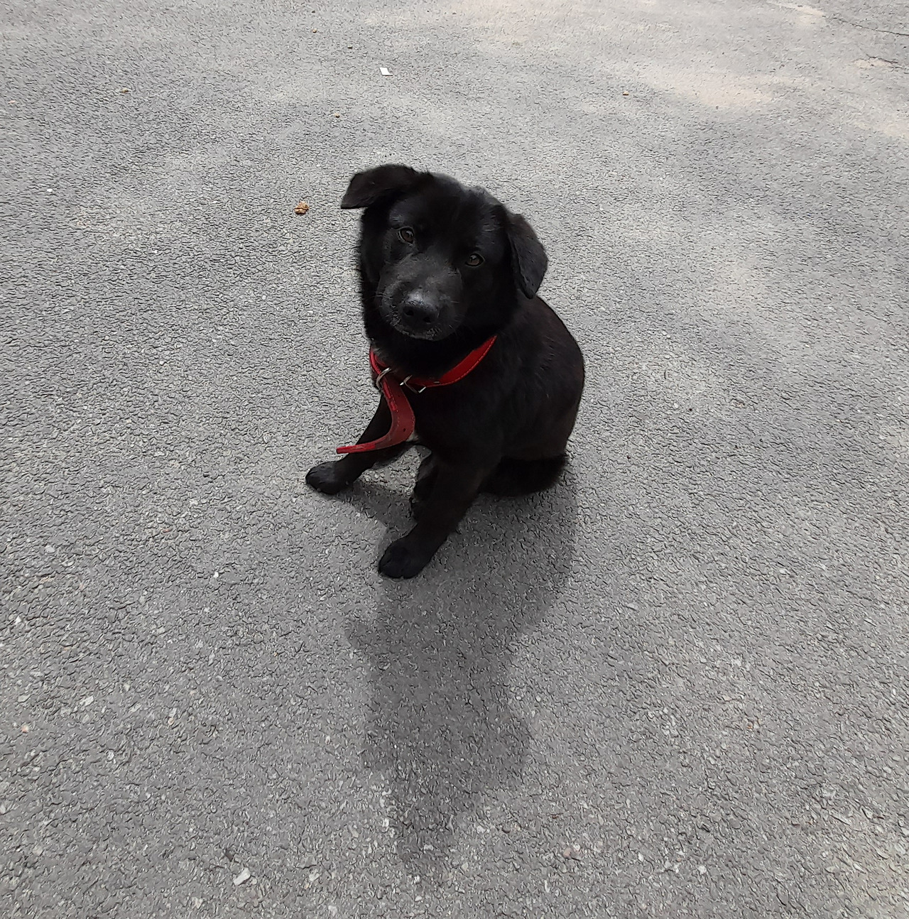 인쇄소검둥이7_2_230413 (20).jpg