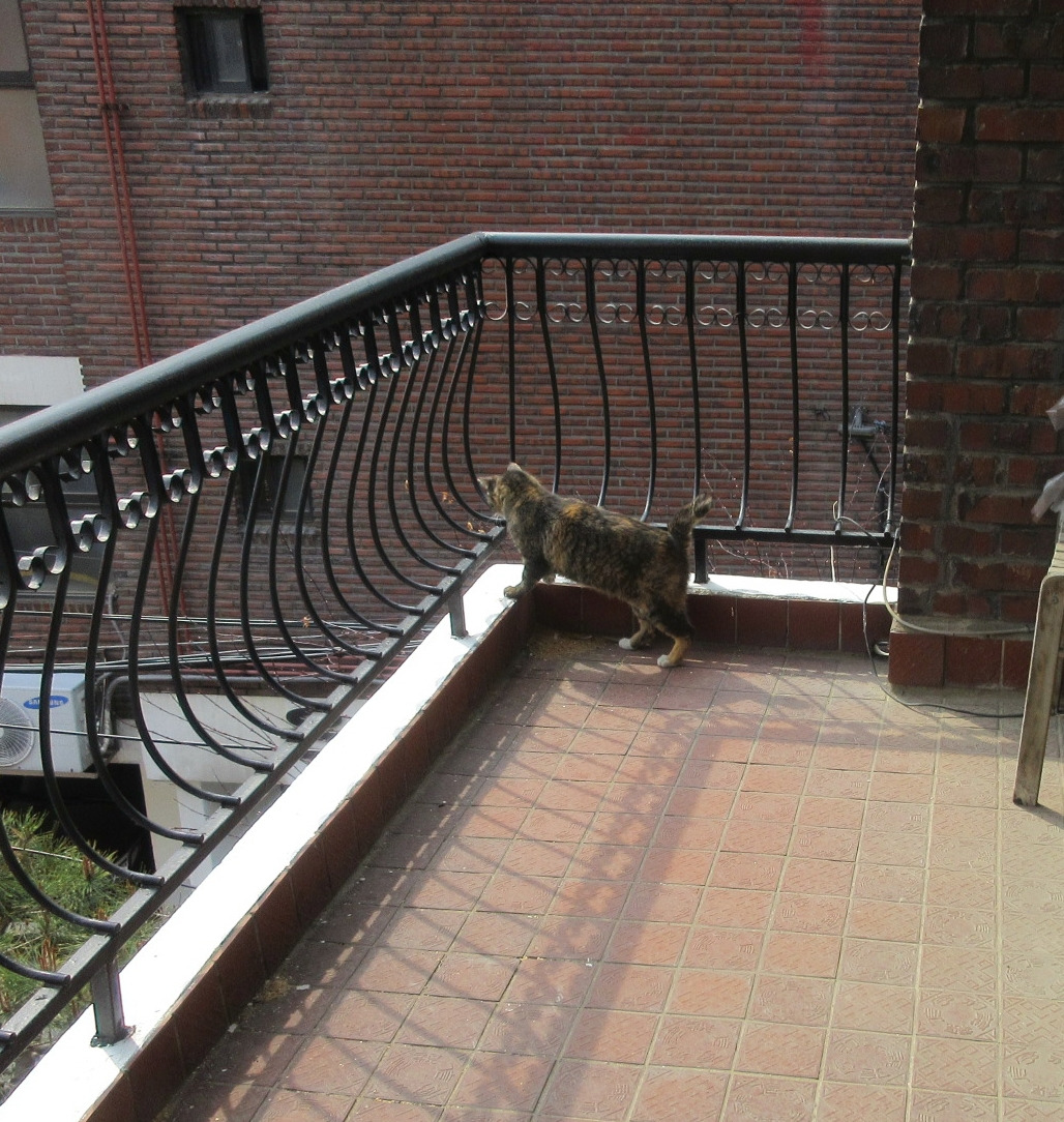 1_작은귀_베란다_은애2_240327 (45).jpg