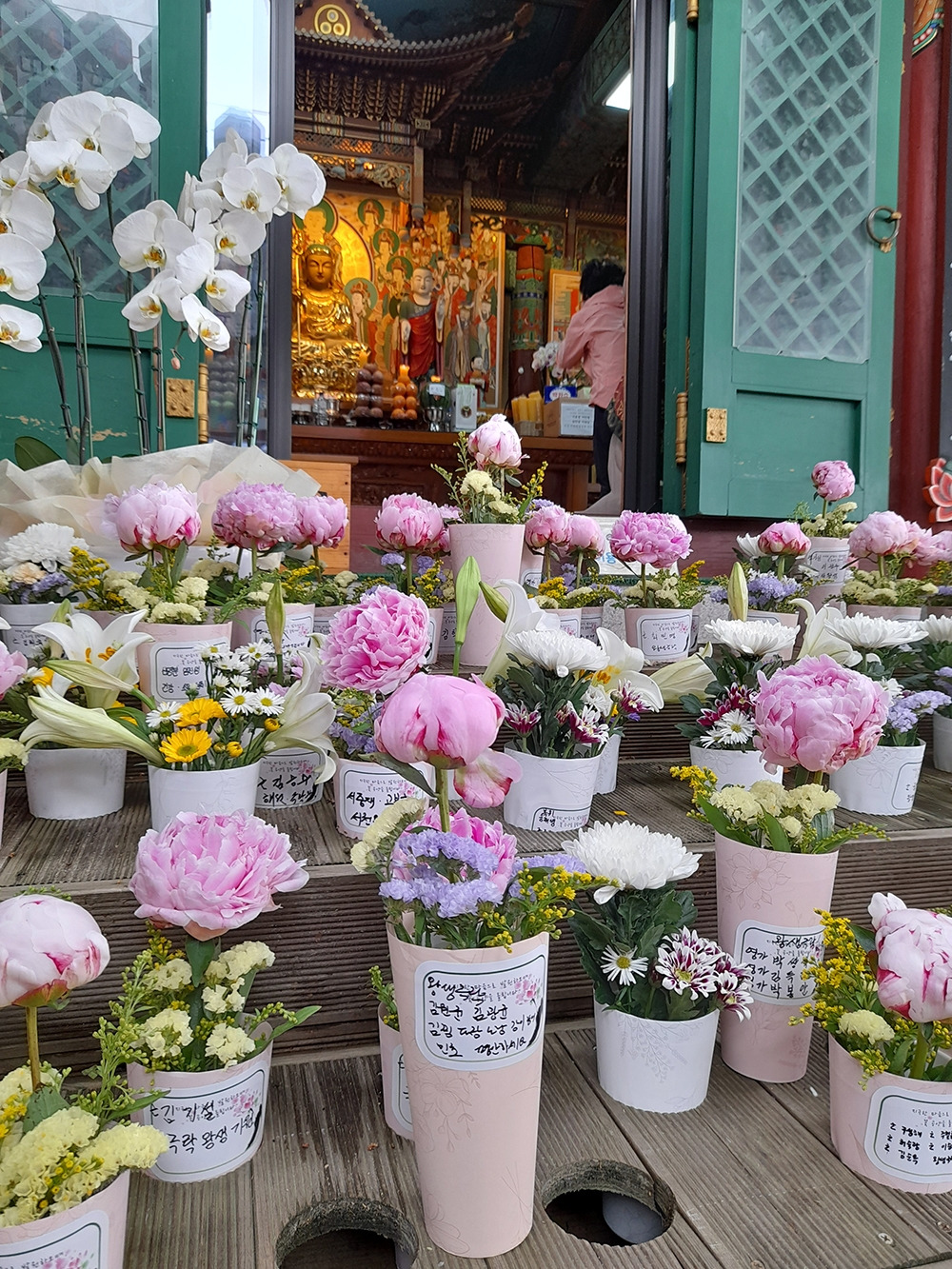 1_도선사_지장전_작약_240515.jpg